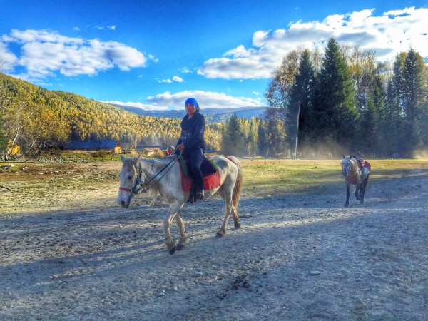 新疆游記，探尋內(nèi)心寧靜與自然的魅力之旅