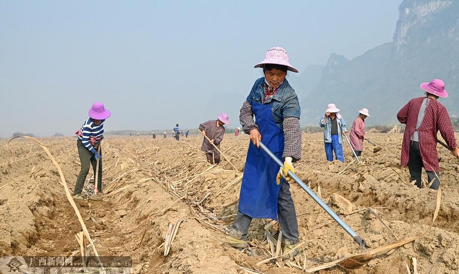 宜州最新新聞播報(bào)更新