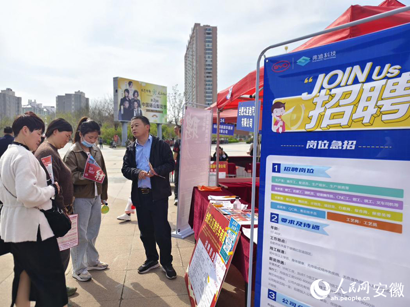 臺前最新招聘解析與觀點闡述