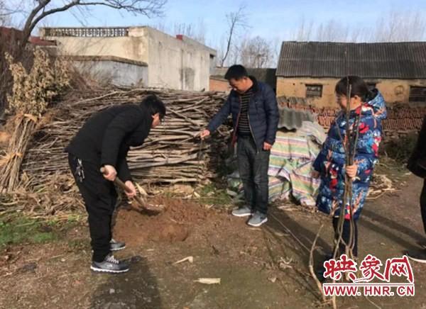 西平最新天氣，自然美景探索之旅，重拾內(nèi)心寧靜的時(shí)光