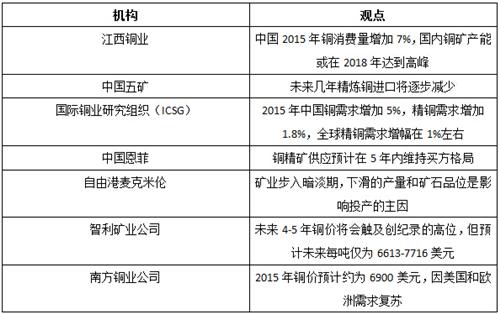 鎳，前行中的自信與成就之光——最新評論解析