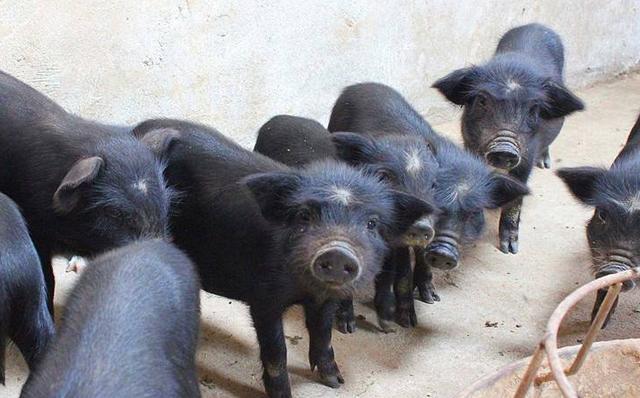 最新環(huán)評政策下的綠色旅行新篇章