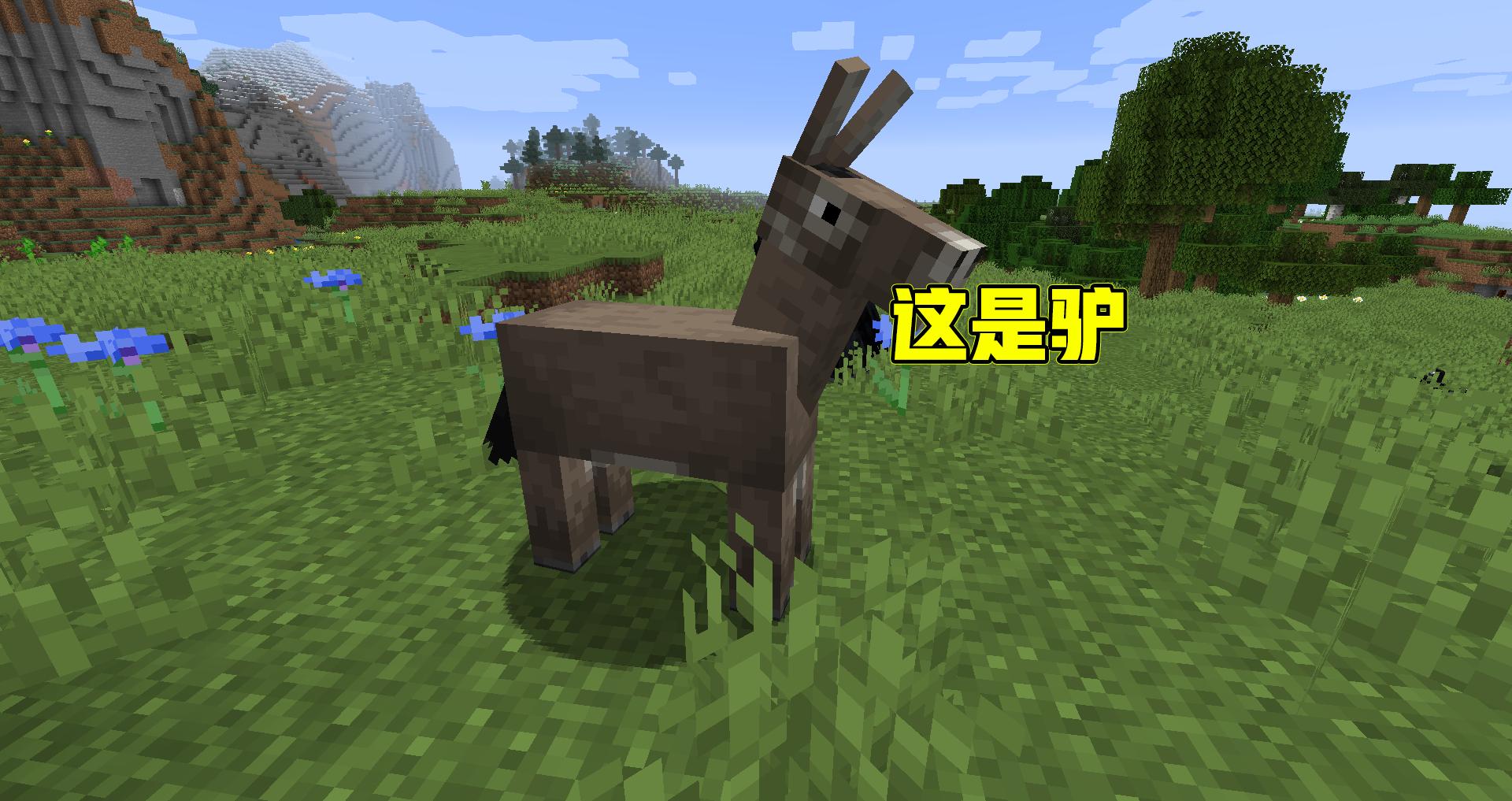 最新卡骷髏馬，時代的速度與傳說標志