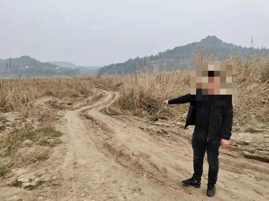 蓬安最新新聞及其獲取指南