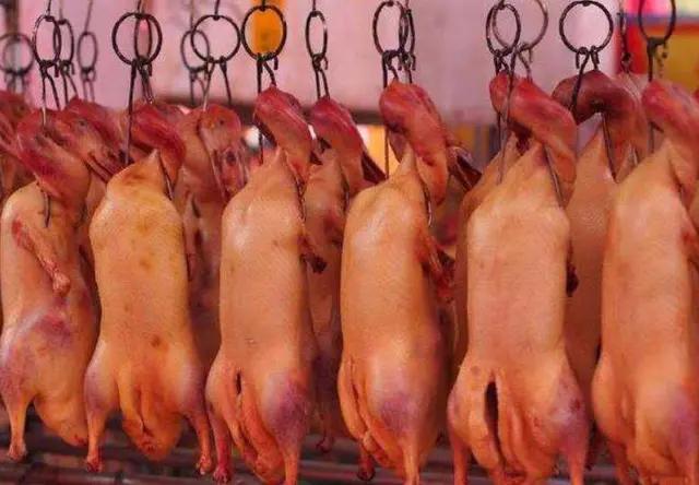 肉鴨最新行情解析，市場動態(tài)獲取與分析方法詳解