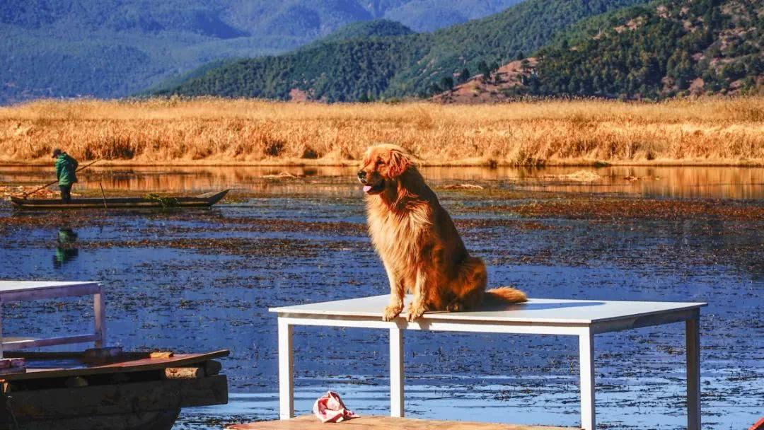 瀘沽湖最新招聘啟航，與變化共舞，開啟勵(lì)志人生之旅！