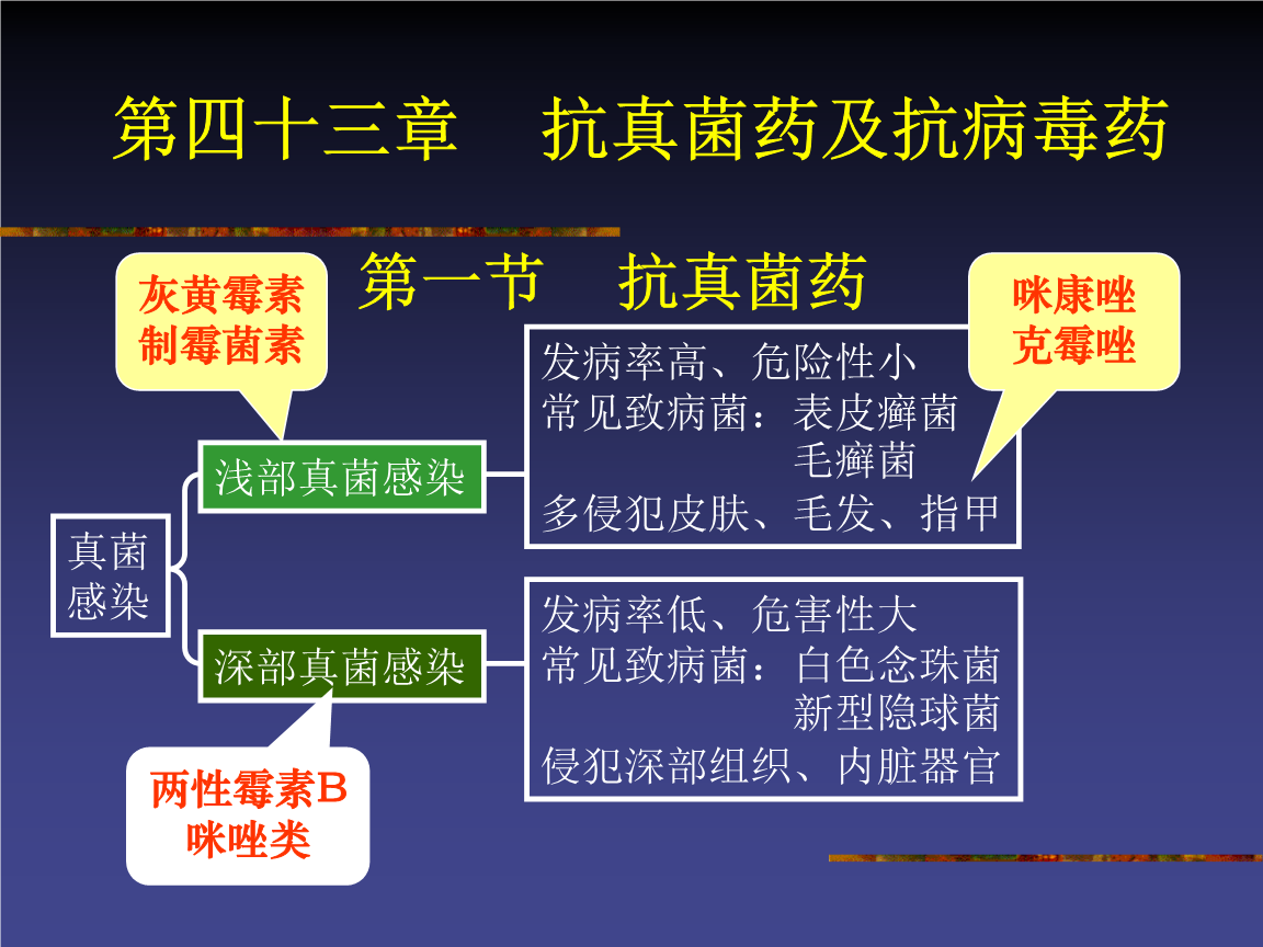 最新抗真菌藥物探索，自然美景之旅與內(nèi)心平和寧?kù)o的探尋