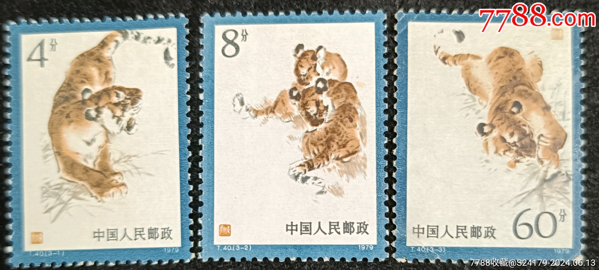 虎票最新價格,虎票最新價格，市場走勢下的多元觀點(diǎn)