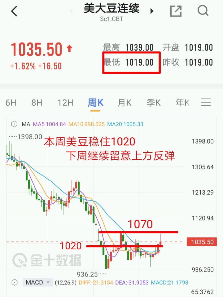 美豆期貨最新動態(tài)，變化中的機(jī)遇與自信的力量