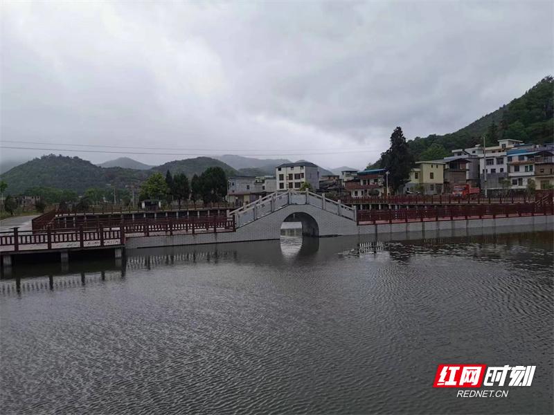 平和新聞網(wǎng)最新消息，平和縣的新發(fā)展、新動(dòng)態(tài)概覽