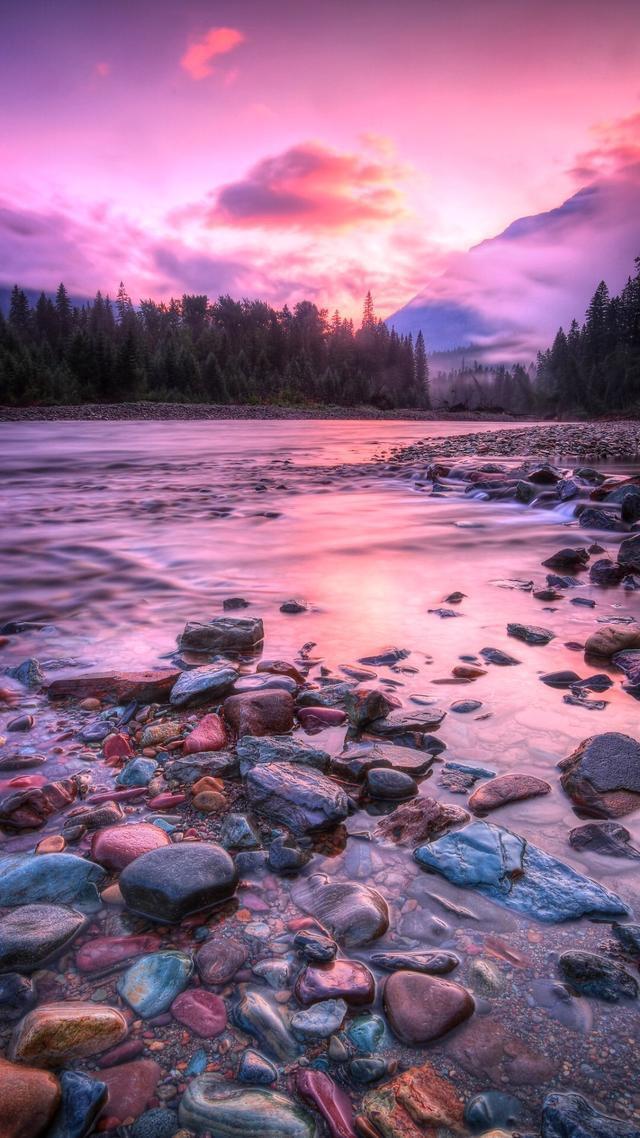 最新安卓手機(jī)版本，愛的紐帶與溫馨陪伴的日常故事