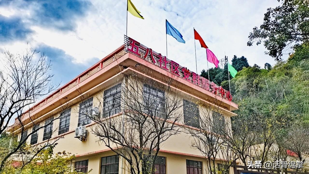 科研院所改制最新動態(tài)，探索自然美景的覺醒之旅