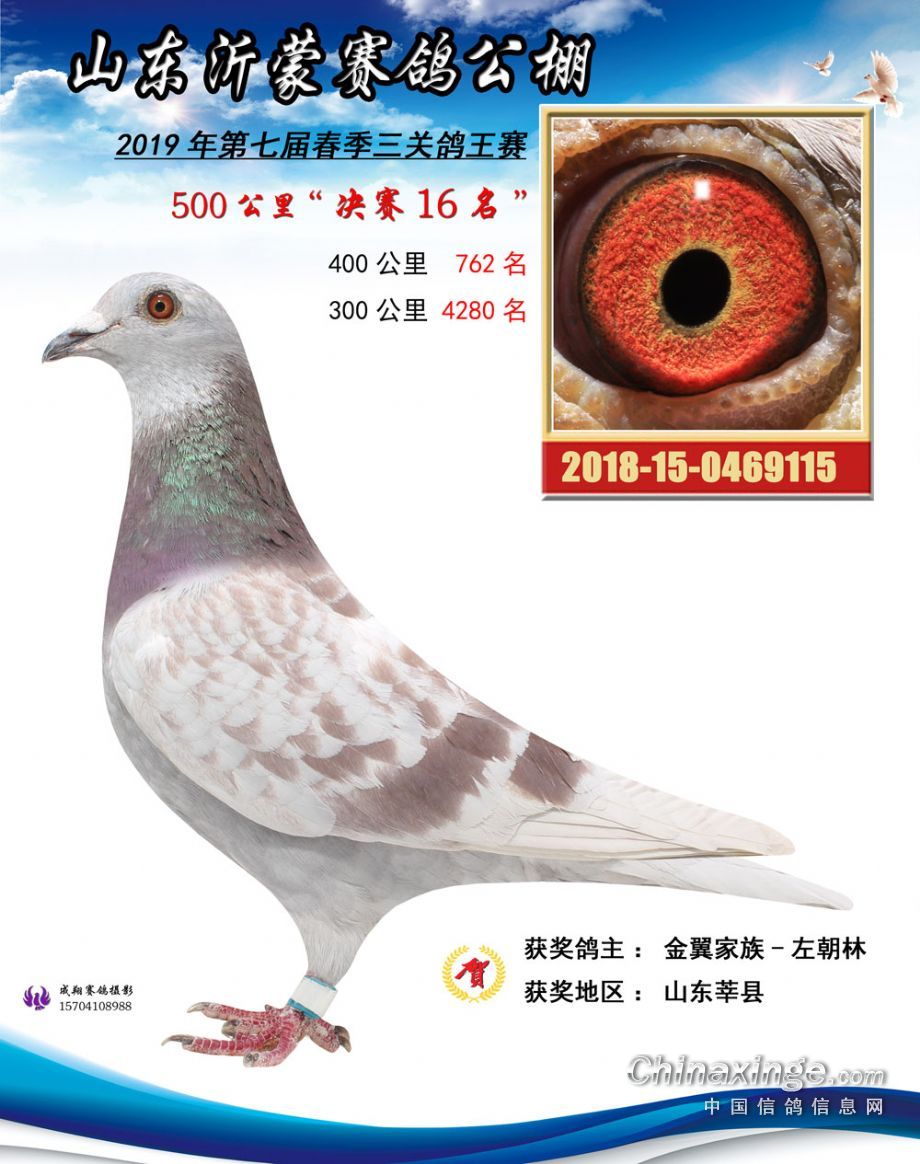 長平賽鴿公棚最新公告，參與賽鴿活動的步驟指南