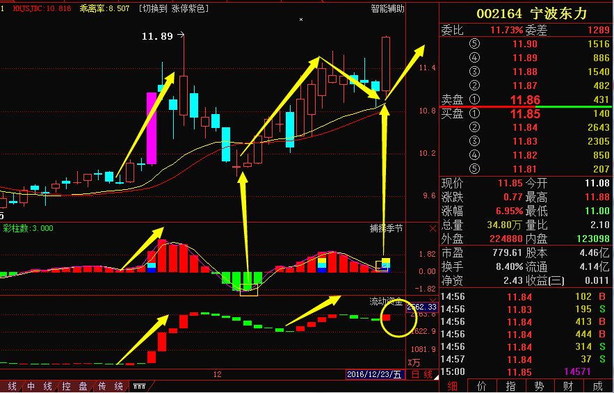 寧波東力重組最新消息,寧波東力重組最新消息，一場自然美景的探索之旅