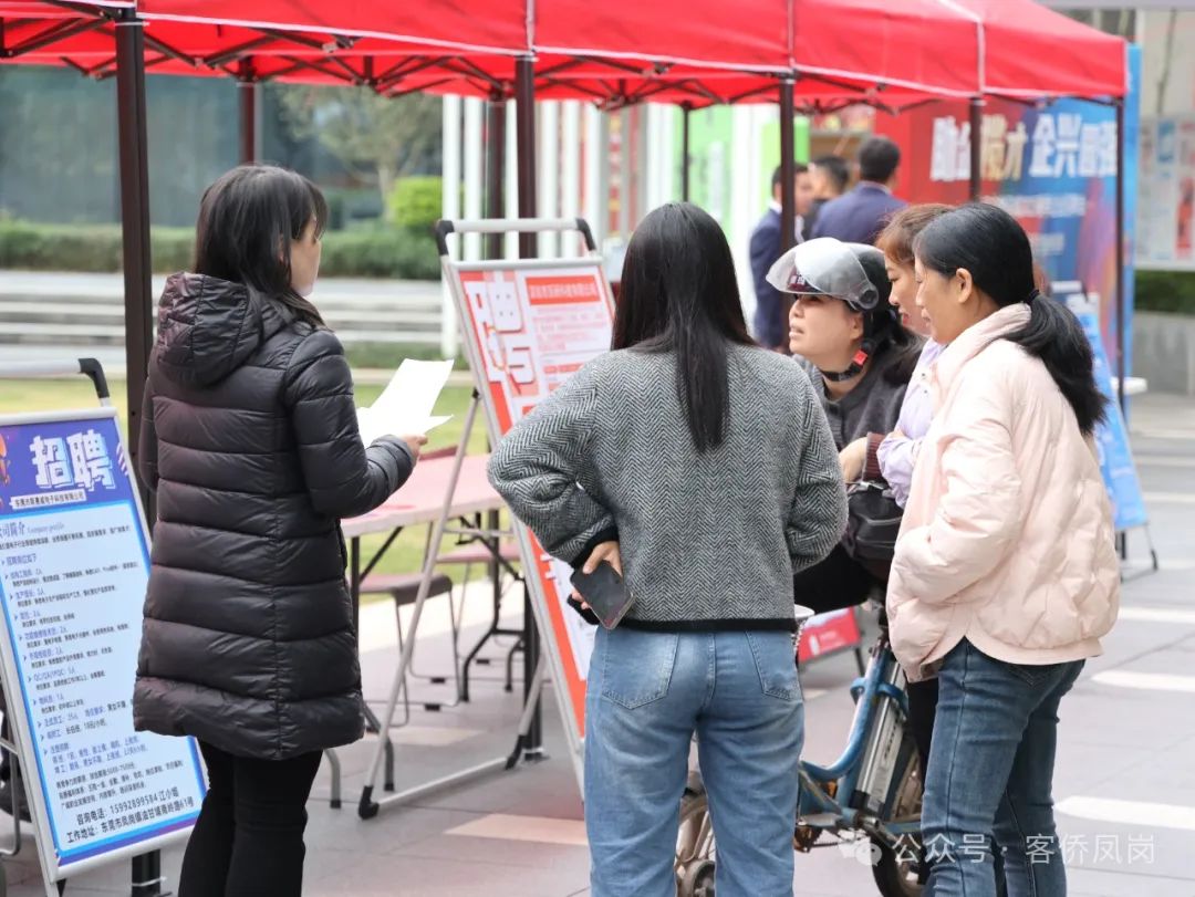 鳳崗雁田最新招聘信息匯總與觀點論述