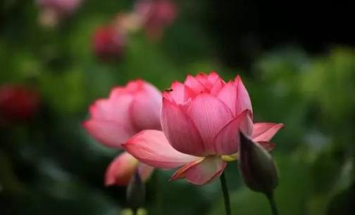 探索自然美景的治愈旅行，最新一集就是怎有味