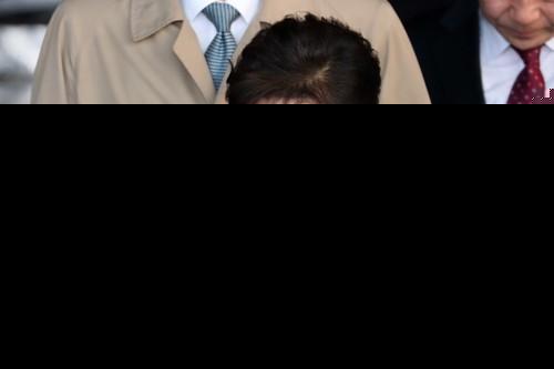 樸槿惠最新消息，心靈與自然的完美邂逅今日揭曉