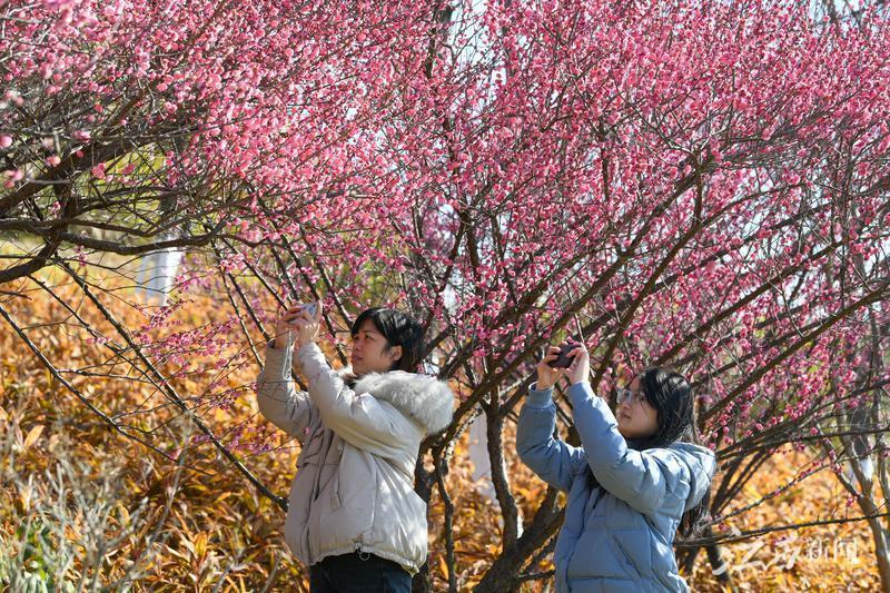 江西上猶新聞最新新聞,江西上猶新聞最新新聞，探索自然美景的旅行，尋找內(nèi)心的平和之地