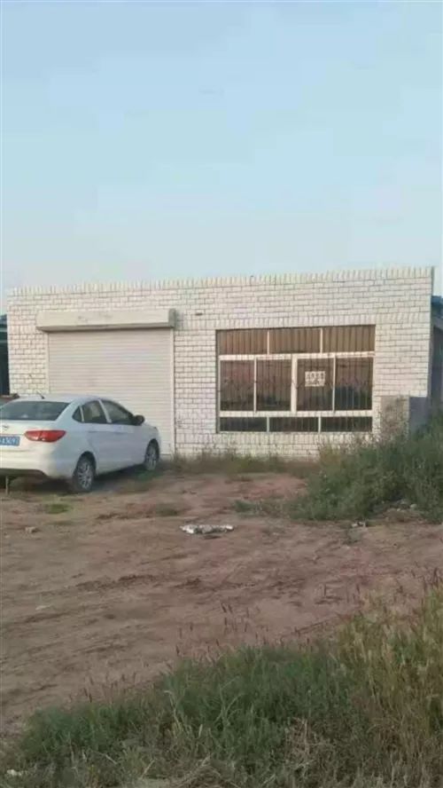 阜新王寶君的自然探索之旅，探尋內心寧靜與自然魅力的最新旅程