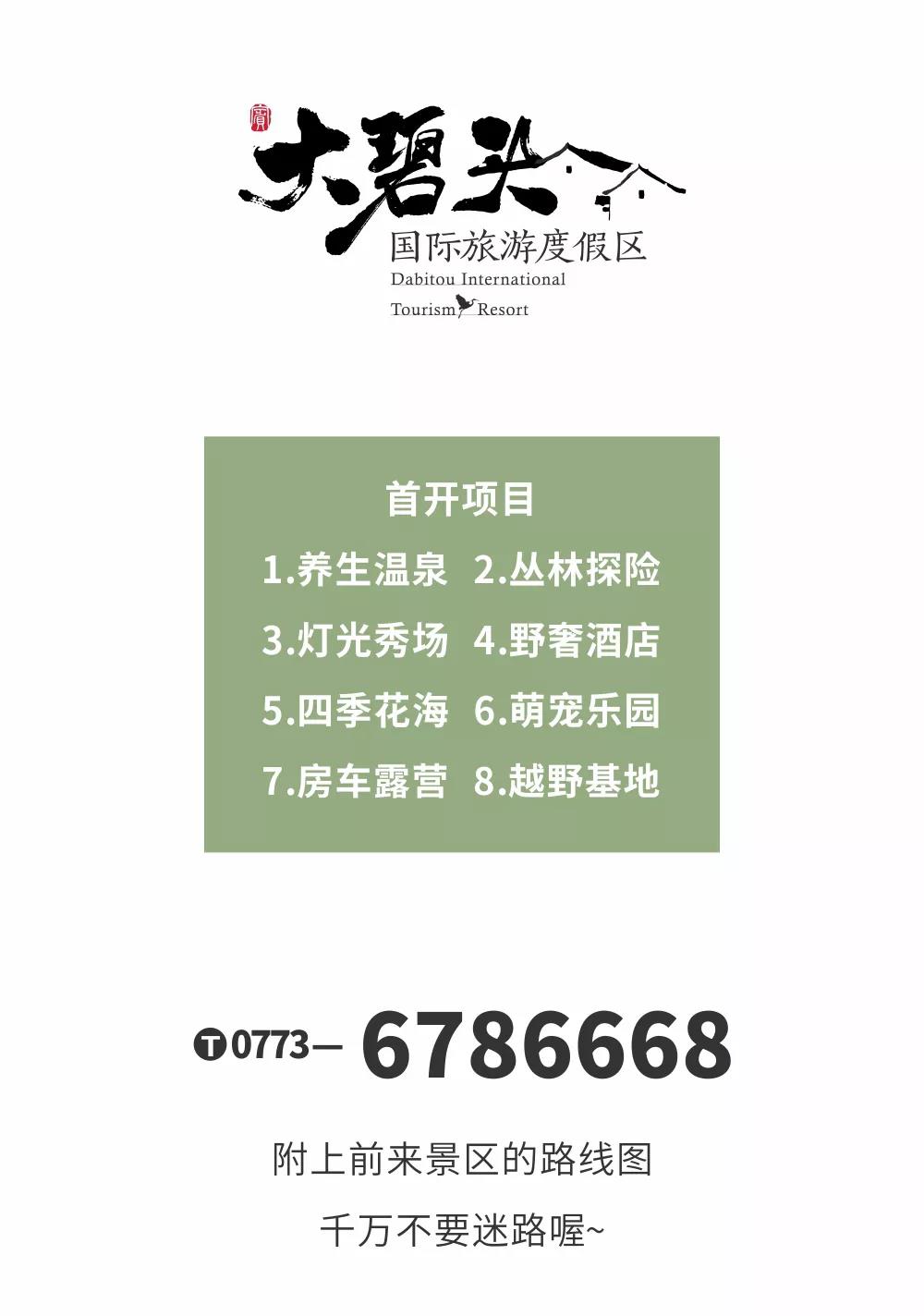 全州大碧頭最新消息,全州大碧頭最新消息——一個關于友情與陪伴的溫馨故事