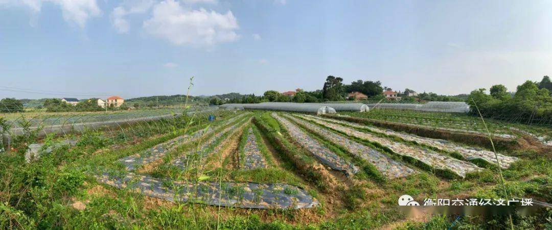 衡陽縣演陂鎮(zhèn)未來藍(lán)圖規(guī)劃揭秘，打造美好新面貌！