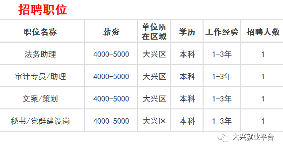 大興招聘網(wǎng)最新信息，小巷深處的職業(yè)寶藏探尋之旅