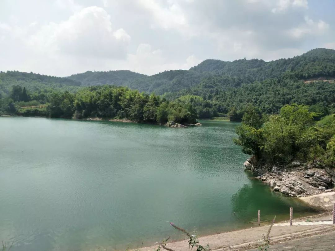 茅坡水庫(kù)最新動(dòng)態(tài)，2025年進(jìn)展報(bào)告