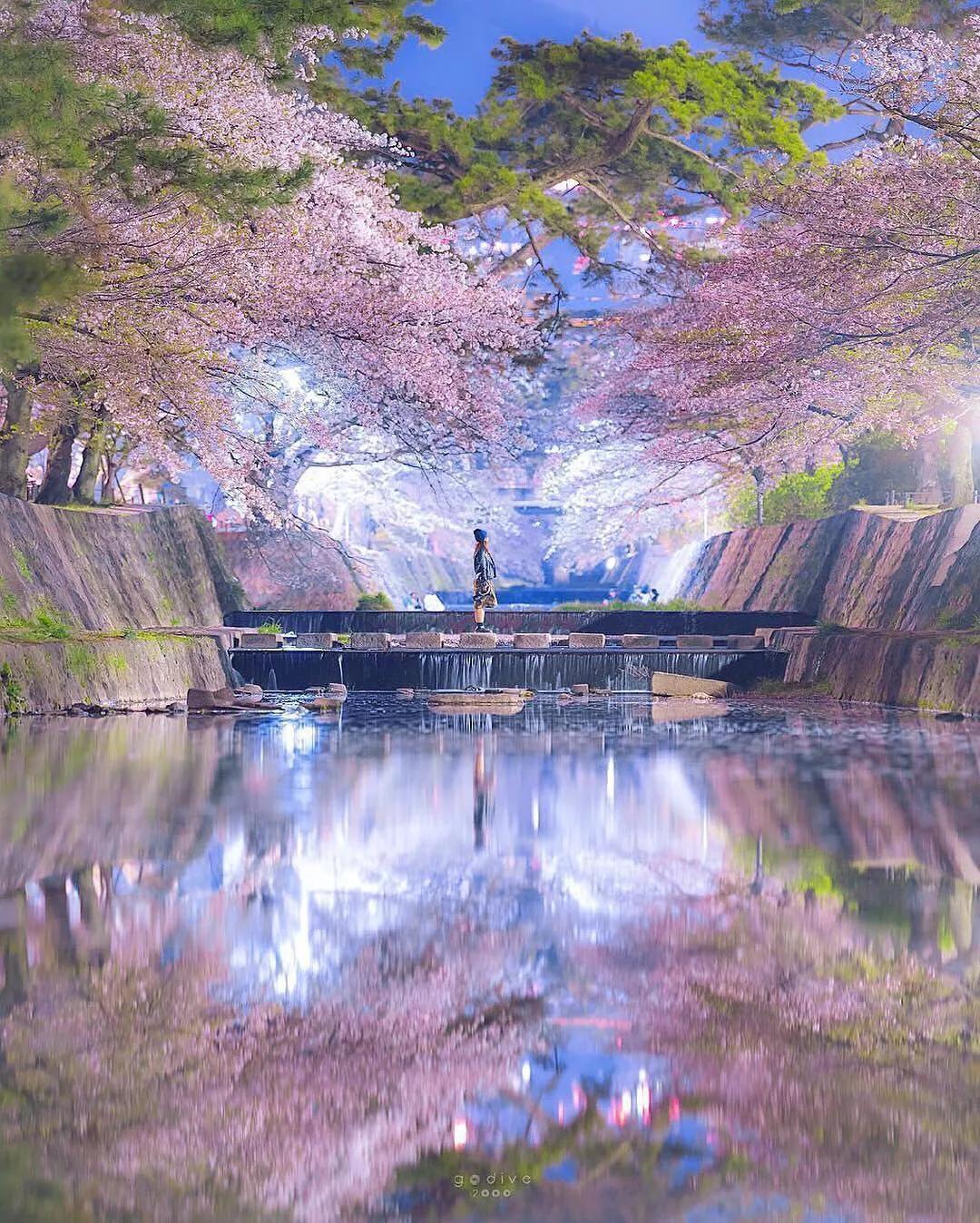 最新官方微信下載安裝，輕松上手，高效社交體驗