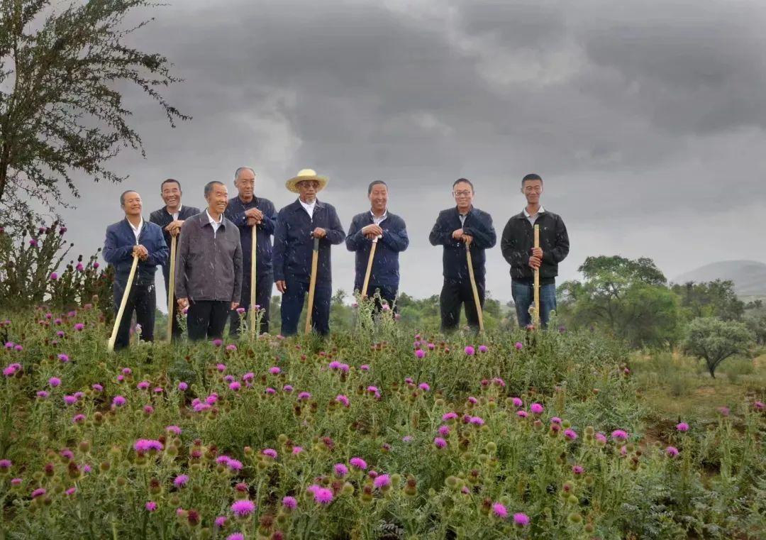 河南夢(mèng)想英雄最新一期觀點(diǎn)闡述，追夢(mèng)之路的河南力量