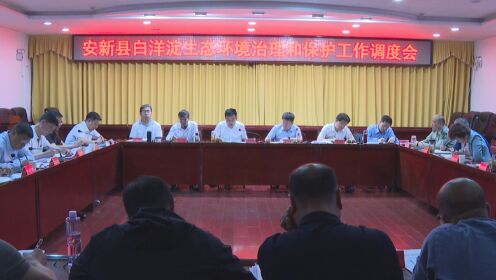 安新縣淀南最新新聞報道