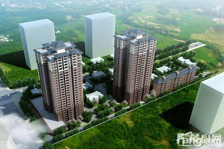 ?？诤Ｐ湃A庭最新動(dòng)態(tài)，學(xué)習(xí)力量與自信成就之歌