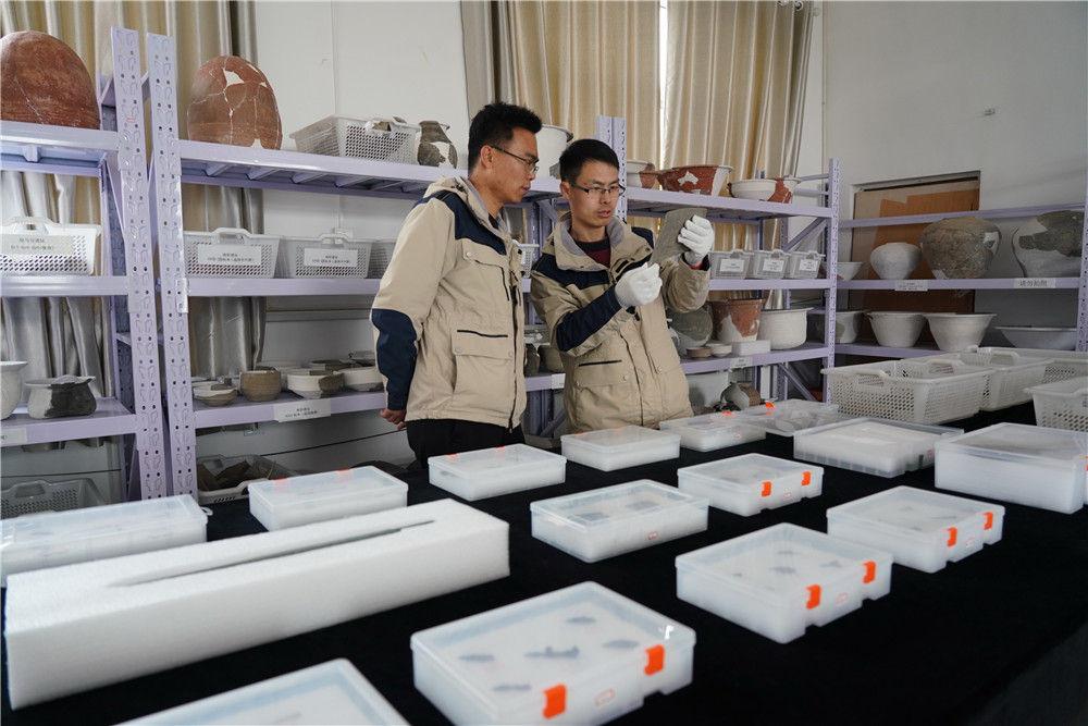 北京遷都雄安最新動(dòng)態(tài)，最新消息與進(jìn)展