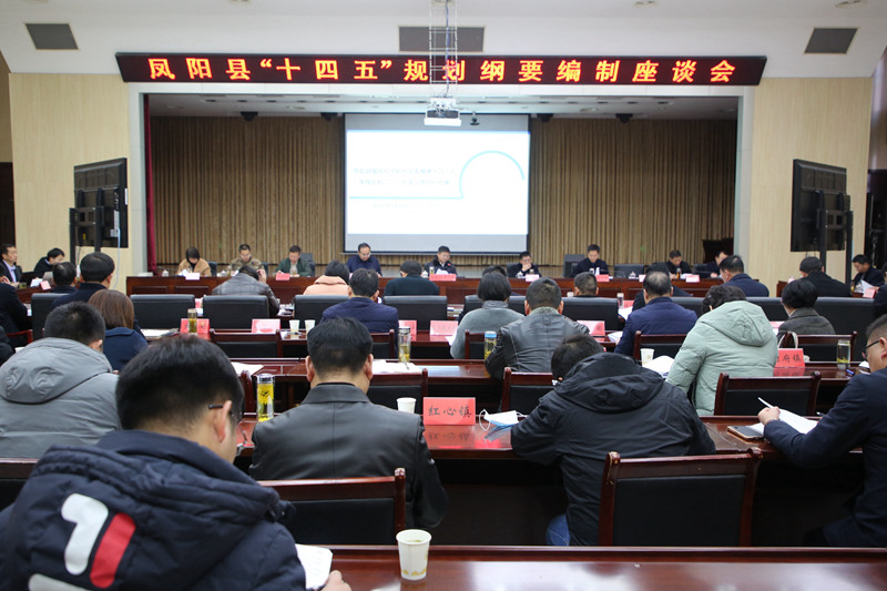 鳳陽(yáng)新聞最新動(dòng)態(tài)，小巷深處的獨(dú)特風(fēng)味揭秘