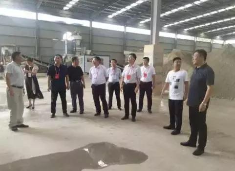 臨西環(huán)保局最新動態(tài)，綠色變革的先鋒力量