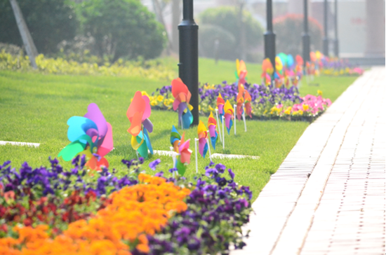 鹽城四季金輝最新動態(tài)更新，最新進展與資訊速遞