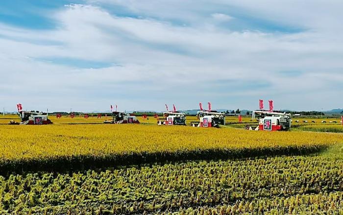 慶陽農場貼吧最新動態(tài)更新????，農場生活分享與交流返回搜狐網首頁查看更多內容