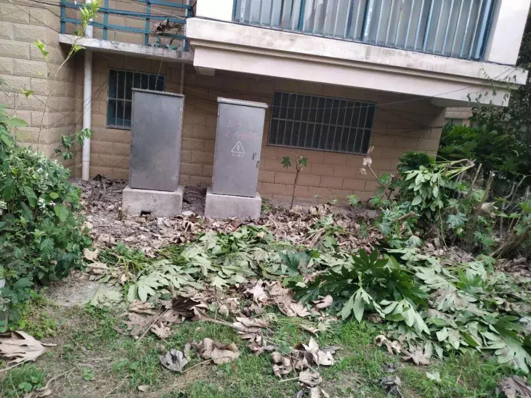 零陵君悅?cè)A城最新動(dòng)態(tài)揭秘??