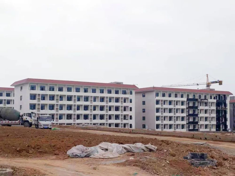 大慶失蹤職工最新進(jìn)展及指南揭秘