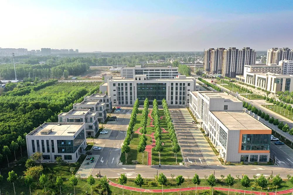 邳州市政府最新招聘，啟程友情與夢想之旅