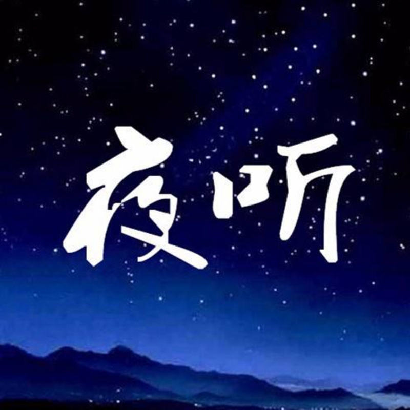 夜聽2025最新一期，時代夜空中的回響之聲