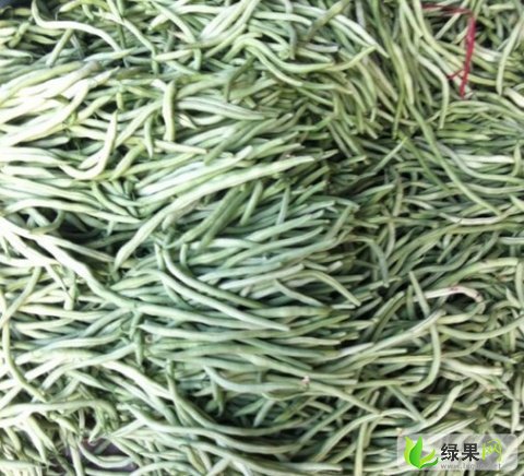 今日四季豆價格更新，小巷深處的豆香奇緣