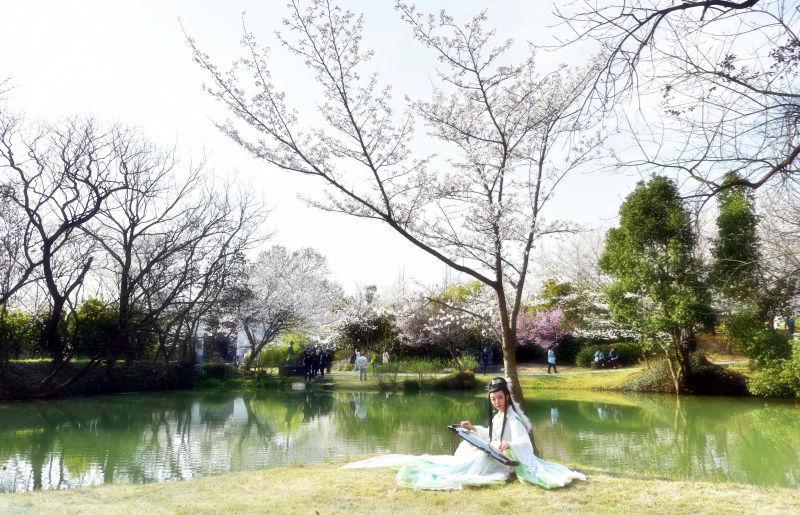 戀上傾城女總裁最新章節(jié)更新發(fā)布