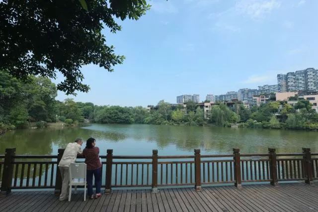 五塊石改造最新動態(tài)，重塑城市風(fēng)貌的征程啟幕