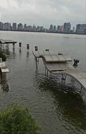 武漢市新聞快報(bào)，最新消息匯總