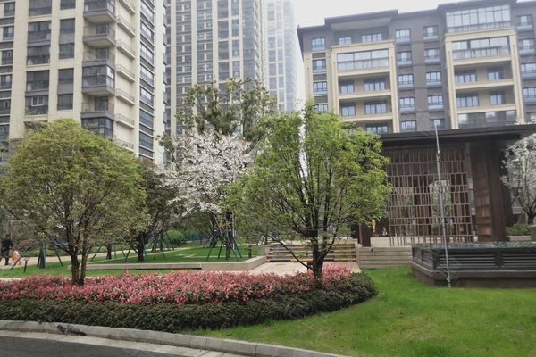 蘇州湖畔樾山，未來之星的崛起最新消息