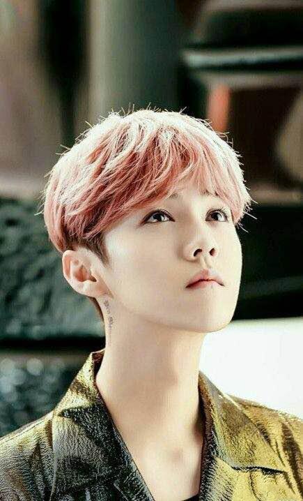 鹿晗最新發(fā)型詳細(xì)剪發(fā)步驟指南