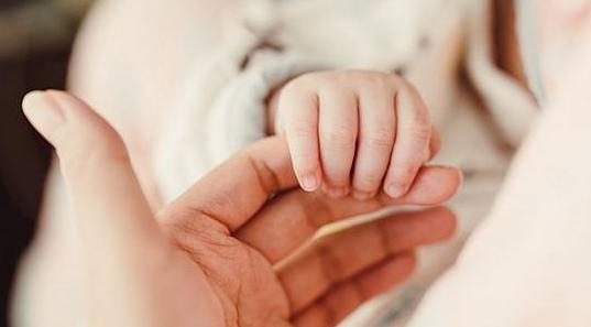 社會撫養(yǎng)費的最新新聞,社會撫養(yǎng)費的最新新聞，全面理解與應(yīng)用指南