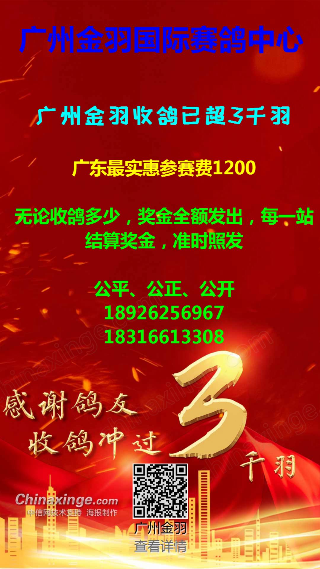 金亞賽鴿中心最新動態(tài)，自然美景探索之旅，尋求內(nèi)心平和與寧靜的旅程