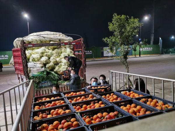 襄陽新發(fā)地最新動態(tài)，日常中的溫情與陪伴——友情與愛在襄陽新發(fā)地閃耀