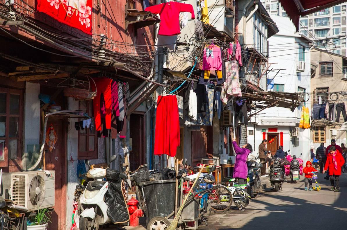 董家渡動遷居民群，自然美景探索之旅開啟